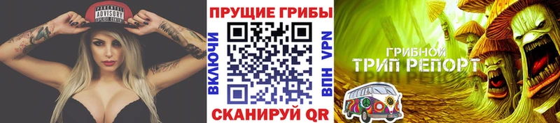 kraken вход  Строитель  Псилоцибиновые грибы Magic Shrooms 